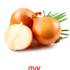 Лук